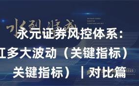 永元证券风控体系：风控能扛多大波动（关键指标）｜对比篇